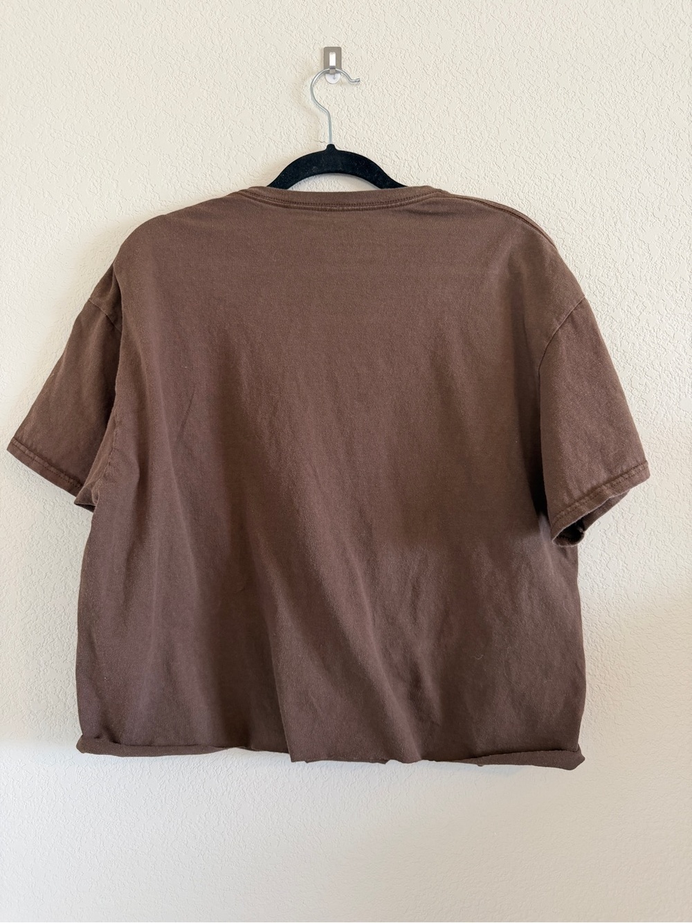Blink 182 Cropped Brown Short Sleeve Graphic Tee with Yellow Sunflower Graphic - Picture 4 of 4
